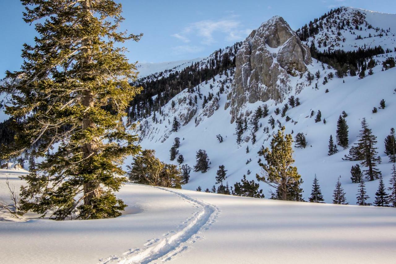 Sherwin Villas 39 Mammoth Lakes Bagian luar foto